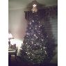 Carroll Tree's Christmas tree from Franklinville, NJ, USA