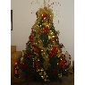 Rosa Meneses's Christmas tree from Neuquen, Argentina