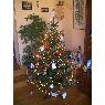 Weihnachtsbaum von Araceli (Madrid, España)