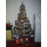 Weihnachtsbaum von Abelina Sepulveda O. (Tacna, Peru)