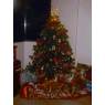 Amarilys Campos's Christmas tree from Sudamérica