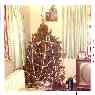 Beatrice Lemieux's Christmas tree from Pittsburgh / Pennsylvania