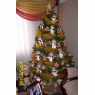 Diana Maria Gutierrez's Christmas tree from Armenia / Quindio / Colombia
