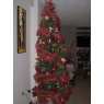 Leonardo Cortina's Christmas tree from Caracas / Venezuela