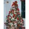Naika Añez's Christmas tree from Barquisimeto / Venezuela