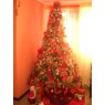 Cecilia Maria Sojo's Christmas tree from Miranda / Los Teques / Venezuela