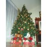 Geovanni Navarrete's Christmas tree from Chiguayante / Chile