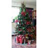 Ywanoska Díaz's Christmas tree from Barcelona / Venezuela