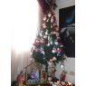 Julián Mauricio Rey López's Christmas tree from Bucaramanga / Santander / Colombia
