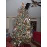 The McClendons's Christmas tree from Alabama / USA