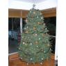 Ken Cheetham's Christmas tree from British Columbia / Canada