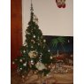 Ottavia Botticelli's Christmas tree from Argentina