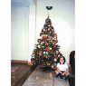 Roberto G. H.'s Christmas tree from Campana / Argentina