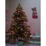 Yoydelin Zwanziger Palomeque's Christmas tree from Tapachula / Chiapas