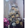 Yeurimar's Christmas tree from Bolivar, Venezuela
