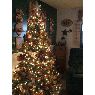 Dee Bollinger's Christmas tree from Freeport, PA., USA