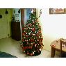 Weihnachtsbaum von Jose Luis Rosado Romero (Jerez de la Frontera, España)