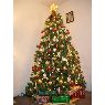Illiana's Christmas tree from Canada
