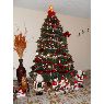 Ernesto Duarte's Christmas tree from Miami, USA