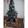 Ruth M Sisneros Diaz's Christmas tree from Santa Fe, Argentina