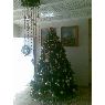 Susana Hans de Nessi's Christmas tree from Aragua, Venezuela
