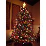 Weihnachtsbaum von Becky Kukay (Great Falls, MT, USA)