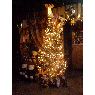 Familia Osegueda Zepeda's Christmas tree from Guatemala, Guatemala