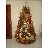 Familia Vivas, Bermejo, Castillo's Christmas tree from Barquisimeto, Venezuela 