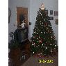 Roger's Christmas tree from Sterling Heights, Michigan, USA