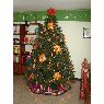 Edlisney Rodriguez's Christmas tree from Los Teques, Miranda, Venezuela