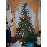 Weihnachtsbaum von Mila Mora Cortes (Antofagasta, Chile)
