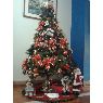 Miguel Angel Martinez Romero's Christmas tree from Peru