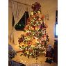 Yanmari Cardinale's Christmas tree from Barquisimeto, Venezuela