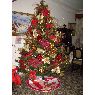 Nelly Dominguez's Christmas tree from Caracas, Venezuela