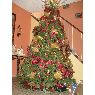 Weihnachtsbaum von Elizabeth (Ponce, Puerto Rico)