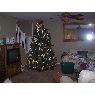 Beverly Triplett's Christmas tree from Florence, AZ, USA