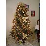 Weihnachtsbaum von Alexandra Valverde Carvajal (San Jose , Costa Rica)