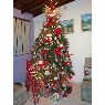 Yraida Peroza de Corriere's Christmas tree from Caracas, Venezuela