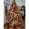 Familia Melendez's Christmas tree from Barquisimeto, Venezuela