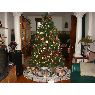 Lyne Blanchette's Christmas tree from Montréal, Québec