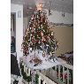 Weihnachtsbaum von Steeve (Canada)