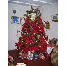 Familia Melendez Borges 's Christmas tree from Agua Viva,Cabudare,Venezuela