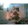 Familia Avila's Christmas tree from Mexico