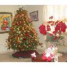Aura Polanco's Christmas tree from Republica Dominicana