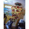 Biulimar Alejos 's Christmas tree from Venezuela 