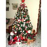 Familia Forero Rueda's Christmas tree from Barranquilla, Colombia
