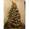 Damian Zuniga's Christmas tree from Montreal, Canada