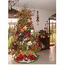Iveth Rodriguez's Christmas tree from Cabudare, Venezuela