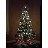 Brandy K.'s Christmas tree from Nashville, TN, USA