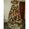 Manuel Petit's Christmas tree from Maracaibo, Venezuela